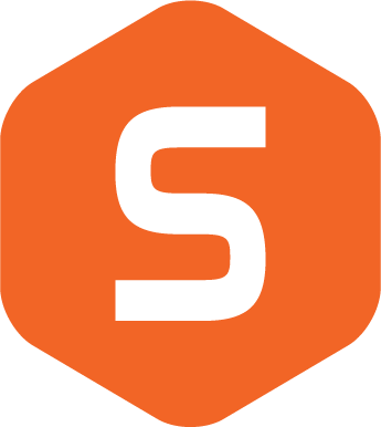ds logo